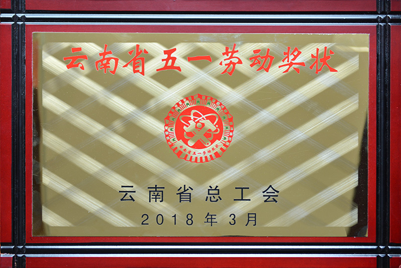 2018年—云南省五一勞動獎狀